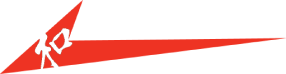light logo